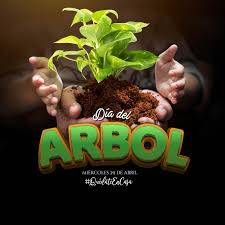 Ver más ideas sobre día del arbol, manualidades, disfras de arbol. 29 De Abril Dia Del Arbol