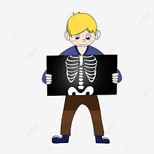 Maybe you would like to learn more about one of these? X Ray Clipart Yellow Haired Child X Ray Clipart X Ray Clip Art X Ray Png Transparent Clipart Image And Psd File For Free Download