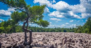 Maybe you would like to learn more about one of these? 12 Best Poconos Parks