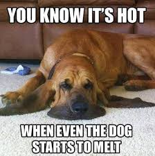 A healthy outside starts from the inside. Funny Hot Weather Memes