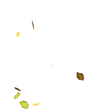 Download free static and pbr textures coronavirus photos new backgrounds popular beauty photos popular transparent png download 867 free leaves falling icons in ios, windows, material, and other design styles. Pin By Sharon Strangman On Motion Views In 2021 Flowers Gif Autumn Stickers Aesthetic Gif
