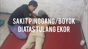 Sakit pinggul dan tulang ekor. Sakit Pinggang Boyok Diatas Tulang Ekor Youtube