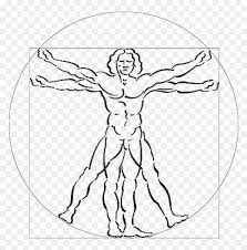 6 Png Hd Type Vitruvian Man Transparent Png Vhv Freepik free vectors, photos and psd freepik online editor edit your freepik templates slidesgo free templates for presentations storyset free editable illustrations. 6 png hd type vitruvian man