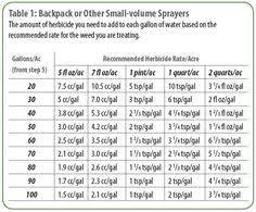 16 best conversion chart images chart dry measuring cups