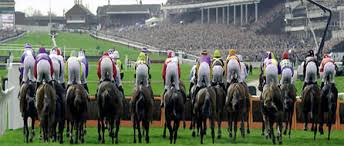 Image result for Pic of Cheltenham Racecourse