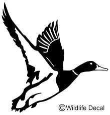 Duck In Flight Decal Md 1001 Wildlife Waterfowl Hunting Stickers Hayvan Resimler Ve Oymacilik