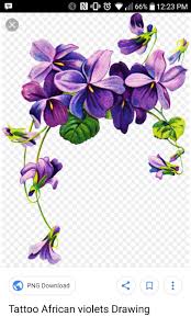 Pin By Md Designs On Violet Wing Feather Plumeria Tattoo Plumeria Tattoo Plumeria Feather