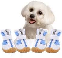 AOFITEE Mesh Dog Shoes Pet Boots, Breathable Dog Shoes for Small Doggy,  Waterproof Pet Sandals with Anti-Slip Sole and Zipper Closure, Durable Pet  Paw ...