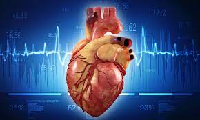 We did not find results for: Human Heart In A Jar Model To Be Developed For Research