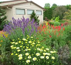 Hummingbirds expend a lot of energy, and they need to feed on nectar almost constantly. 10 Design Tips For A Perfect Perennial Border Costa Farms