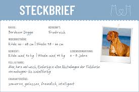 Ich interessiere mich für bordeaux doggen und. Bordeaux Dogge Steckbrief Charakter Pflege Haltung