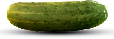 Pin amazing png images that you like. Pickle Png Free Pickle Png Transparent Images 28184 Pngio