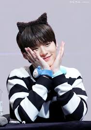 Pin By Adhara On My Favourite Idiots Lee Know Stray Kids Stray Kids Minho Minho