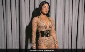 Priyanka Chopra International Red Carpet Chameleon 10 Top Looks
