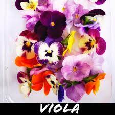Flowers for malaysia offers same day flower & gift basket delivery for malaysia at very low rates. Fresh Edible Flower Spring Medley Mix Viola Dianthus Shopee Malaysia