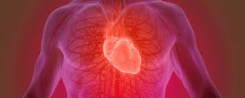 Indeed, prevention is paramount to address this issue. Signs You Have Poor Circulation