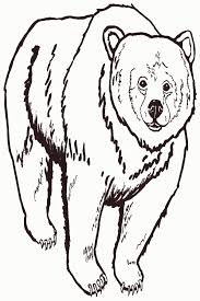 Every week, there are thousands of new songs hitting the airwaves — and it's just too much for your two ears to ha. Pictures Of Grizzly Bears To Color Peepsburgh