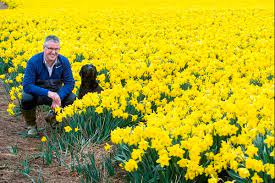 Maybe you would like to learn more about one of these? Blooming Scottish Cut Flower Sector