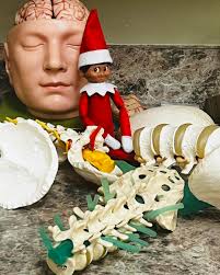 After helping Santa and visiting so many places around Phoebe, Francis  noticed some back pain and decided to stop by Phoebe Neurosurgery for a  check-up. The team gave him a full evaluation,