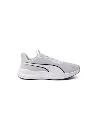 Image result for Puma 1200