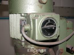 Image result for Frommia