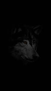 Updated hd wallpapers of wild wolves, timber wolves, grey wolves, snow white wolves, red wolves, wolf pack… are coming soon. Black Wolf Hd Wallpaper For Android