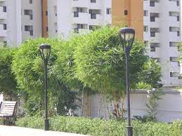 Find photos of light pole. Lighting Pole 3 Meter X 3 Dia Garden Lighting Pole Manufacturer From Chennai