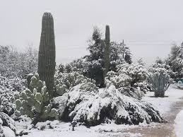 Title movie series name episode company keywords all. Snow In Tucson Here Are Some Beautiful Photos Taken By Our Readers Local News Tucson Com