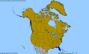 Image result for Commelina nigritana