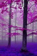 If you're looking for the best tree wallpaper then wallpapertag is the place to be. 3d Tree Theme Wallpaper 1 6 Free Download