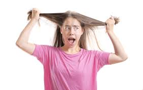 « la possibilité d'accéder aux lieux de sociabilité sans avoir à prouver son état de santé fait partie des garanties. 10 Idees Cadeaux Pour Une Fille De 13 Ans