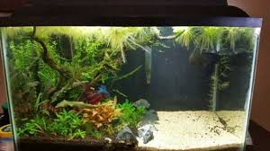 20 gallon tank setup ideas we mentioned briefly before how important it is to match fish together so that you can create the ideal environment. Best Creative Aquarium Decoration Ideas For Home India Homemade Fish Tank