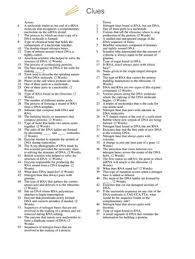 Dna crossword puzzle worksheet answers. Dna Replication And Protein Synthesis Crossword Answers Proteinwalls