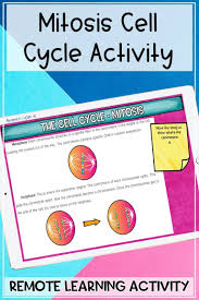 Bioflix Activity Mitosis The Cell Cycle Mitosis Cell Cycle Digital Distance Activity In 2020 Life Science Middle School Cell Cycle Mitosis Activity