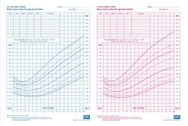 Bmi Body Mass Index Health Consequences Throughout Child