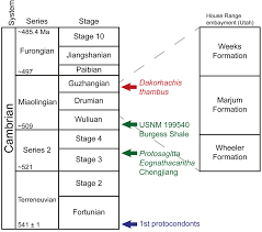 How to file a legal separation in utah. A Possible Cambrian Stem Group Gnathiferan Chaetognath From The Weeks Formation Miaolingian Of Utah Journal Of Paleontology Cambridge Core