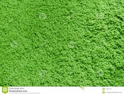 Für läufer nach maß kontaktieren sie bitte unseren kundenservice. Gruner Teppich Stockbild Bild Von Wolldecke Gemasert 11837197