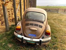 Image result for Rallye Yellow 1974 Beetle