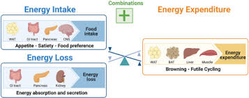 Image result for Beige 1977 Caloric