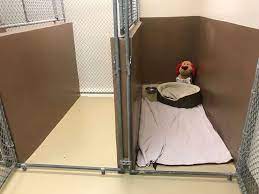 Ambassador animal hospital, located in glendale, az, is a medical facility for animals that offers comprehensive animal medical care services for pets about us contact us suggest listing privacy policy terms and conditions. Ambassador Animal Hospital Pc 5831 W Cactus Rd Glendale Az 85304 Usa