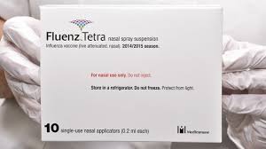 Kitchen flavor kitten ingredients in flu vaccines. Pork Gelatine Flu Spray Concerns Bbc News