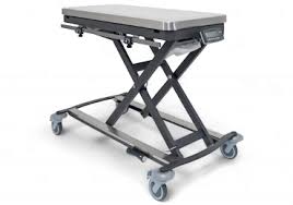 The Six Essential Tables Every Veterinary Practice Needs ...