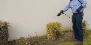 American pest extermination, myrtle beach, sc. Low Cost Pest Extermination Pest Control Snow Shovel Pests
