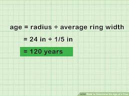 2 Easy Ways To Determine The Age Of A Tree Wikihow