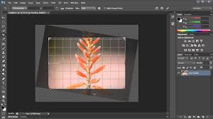 Maybe you would like to learn more about one of these? Jak Latwo Wyprostowac Przekrzywione Zdjecia W Programie Photoshop Thefastcode