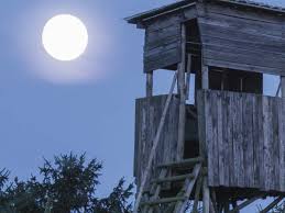 Wann ist der neumond im märz 2021? Wild Und Hund Mondhelligkeitskalender Wild Und Hund
