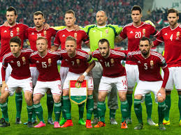 Die ungarische fußballnationalmannschaft wird organisatorisch vom ungarischen fußballverband (ungarisch magyar labdarúgó szövetség) betreut. Ungarn Bei Der Em 2016 Kader Spielplan Stadien Und Gegner Fussball Em