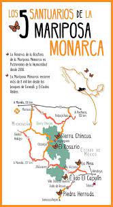 Mexico Desconocido On Twitter Monarchfalter Mexiko Tiere