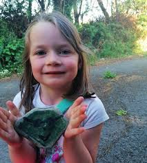 Mehefin 2020 60c Papur Bro Ystwyth ac Wyre Rhifyn 460 Cynnyrch tasg a  osodwyd i ddisgyblion yr Hafod yn Ysgol Llangwyryfon yn ys