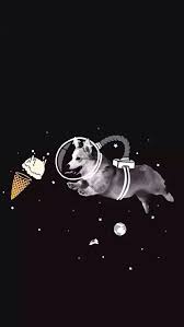 Corgi Wallpaper Corgi Wallpaper Dog Wallpaper Cute Wallpapers